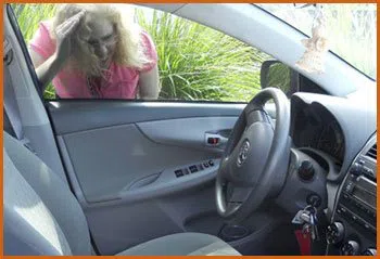 Village Locksmith Store Brooklyn, NY 718-489-9816 - 15-emergency-lockout